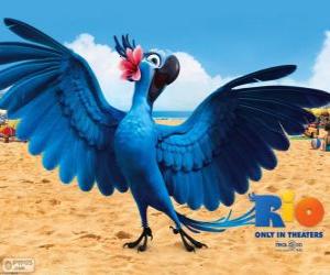 Puzzle Το κόσμημα είναι μια όμορφη γυναίκα macaw στον κινηματογράφο Ρίο